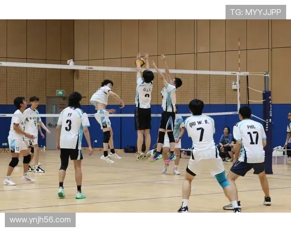 上海排球队团队协作能力大幅提升创新高引领全国排球新风潮